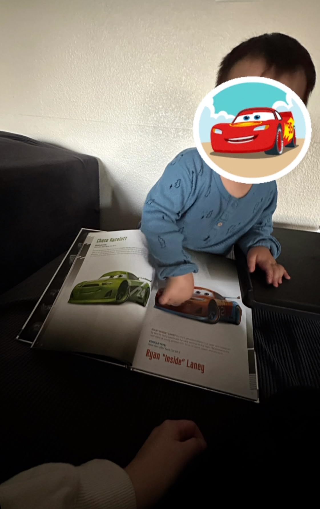 Happy young reader